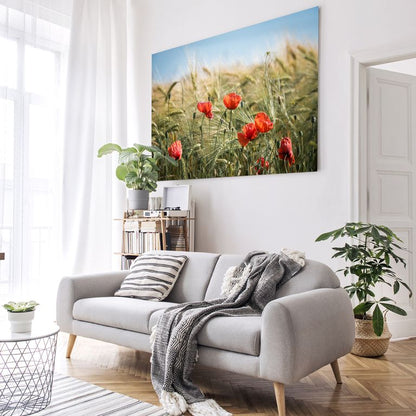Bedrucktes Acrylglas als Magnetwand, Küchen-Hintergrund, Motiv Mohnblumen