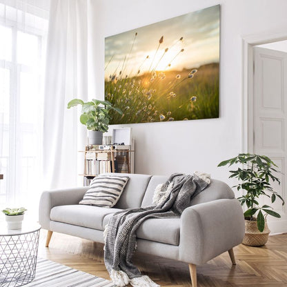 Bedrucktes Acrylglas als Magnetwand, Küchen-Hintergrund, Motiv Grashalm