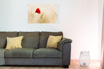 Bedruckte Magnetpinnwand Eisenfolie Whiteboard Magnetwand Motiv Mohnblume
